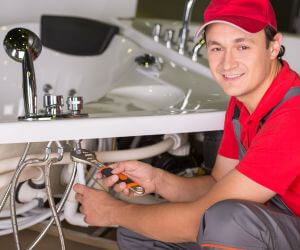 About Plumbers Pros Brant, NY